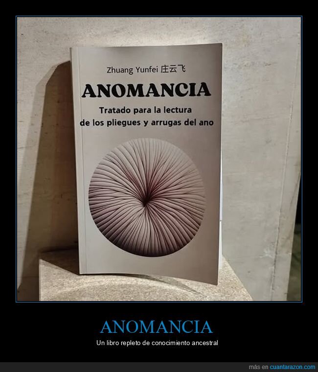 anomancia,arrugas,libro,pliegues