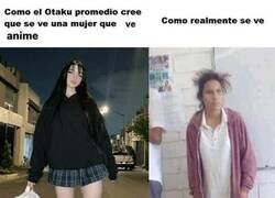 Enlace a La verdad sobre las chicas que ven anime
