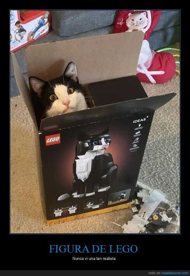 lego,gato,caja