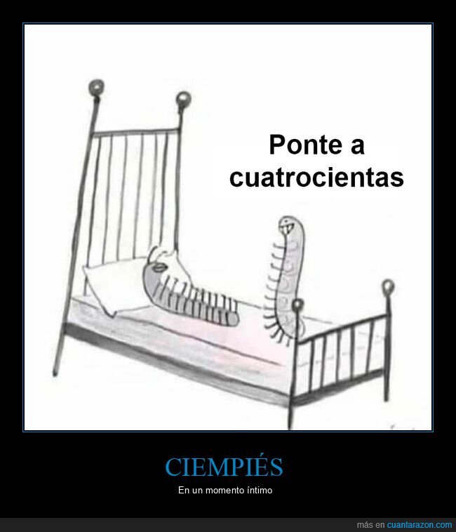 ciempiés,cuatrocientas