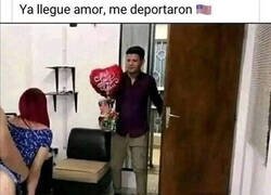 Enlace a Sorpresa al volver a casa