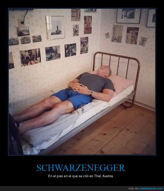 cama,casa,schwarzenegger