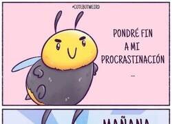 Enlace a Todos los días igual