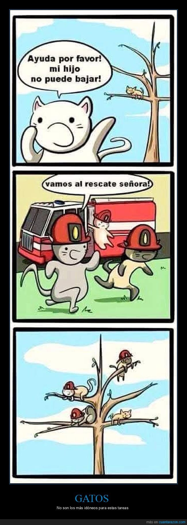gatos,bomberos,árbol
