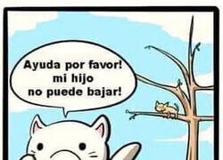 Enlace a Problemas en el mundo gatuno