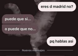 Enlace a Mister y oso