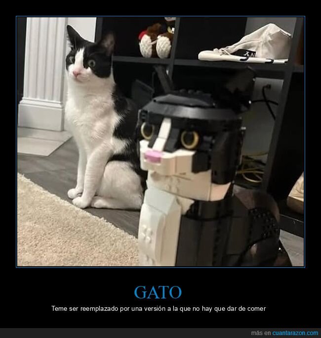 gato,lego