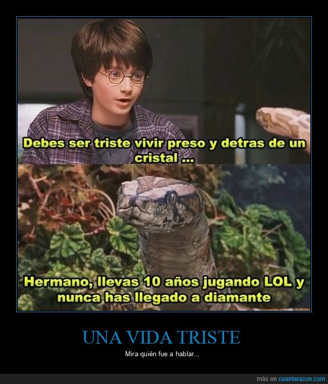 harry potter,lol