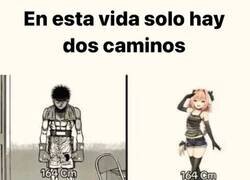 Enlace a Únicas opciones disponibles