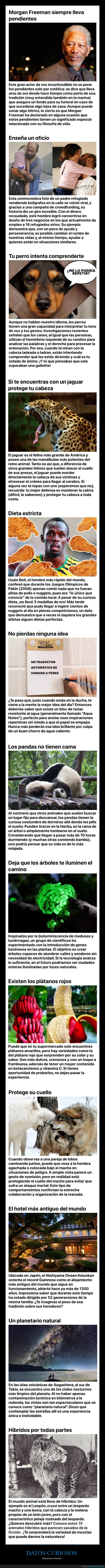 datos interesantes,curiosidades