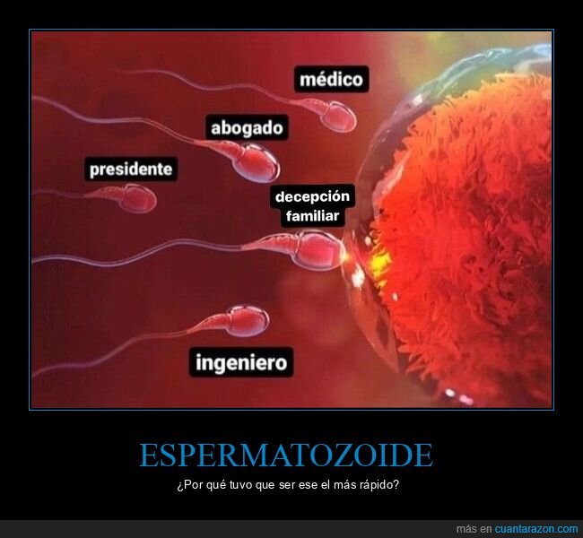 decepción,espermatozoides