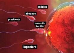 Enlace a El más rápido