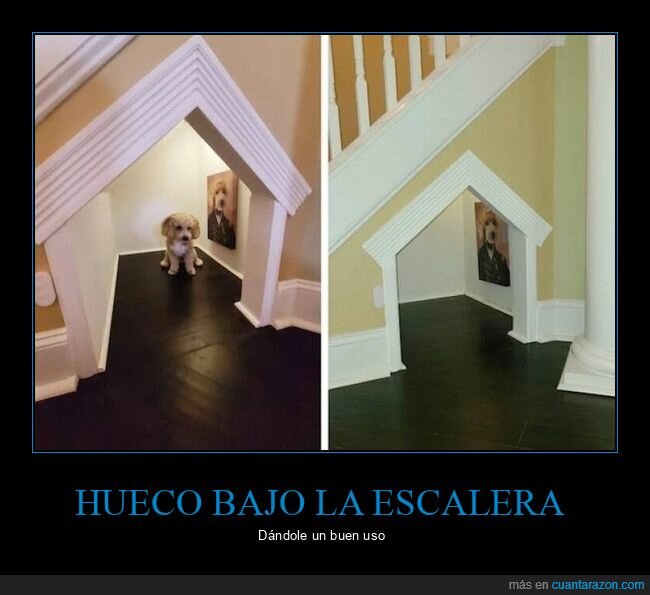 escaleras,perro