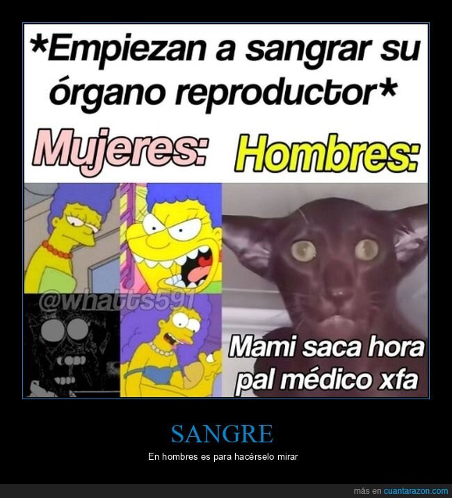 sangrar,órgano reproductor