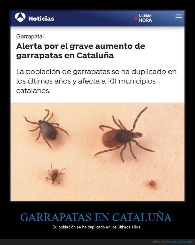 garrapatas,cataluña