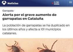 Enlace a Población de garrapatas en aumento