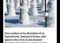Enlace a Cosas tan sorprendentes e interesantes que había que compartirlas