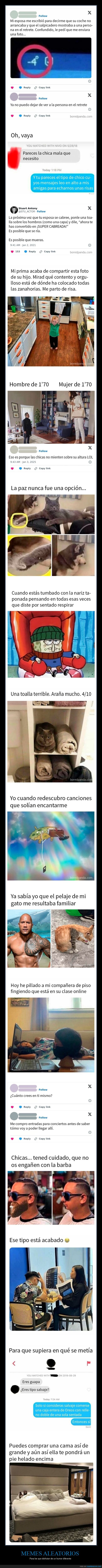 memes,aleatorios