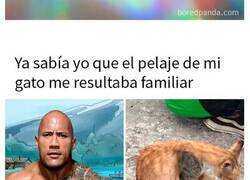 Enlace a Memes divertidísimos para los que disfrutan de un humor diferente