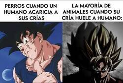 Enlace a Crías de animales y humanos