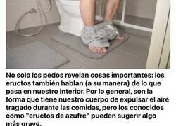 Enlace a Los 7 tipos de pedos que expulsa nuestro cuerpo y que deberíamos examinar cuanto antes según su intensidad