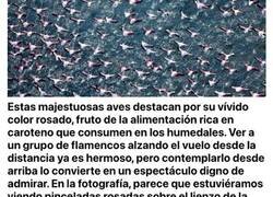 Enlace a Sorprendentes imágenes que un piloto capturó desde su propio avión mientras sobrevolaba el mundo