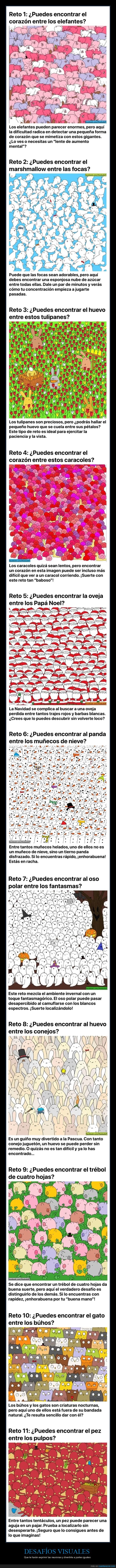 desafíos visuales,encontrar
