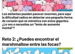 Enlace a Retos visuales que te harán exprimir las neuronas y divertirte a partes iguales