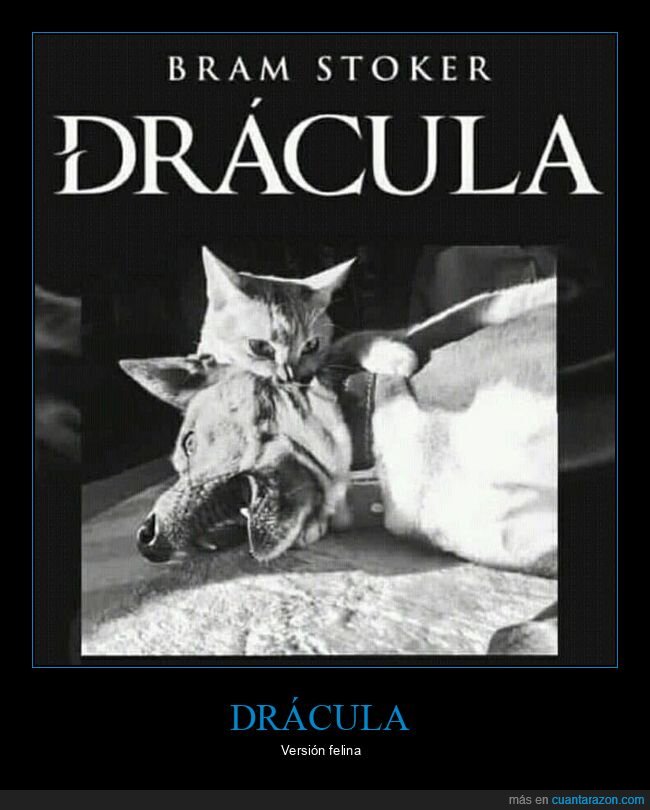 drácula,gato,mordiendo,perro