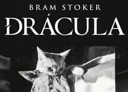Enlace a Otra víctima del gato de Drácula