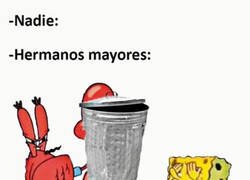 Enlace a Todos los hermanos mayores igual...