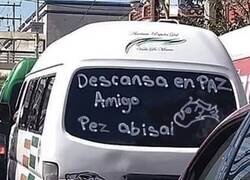 Enlace a En memoria del pez abisal