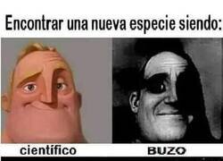 Enlace a Hallando nuevas especies