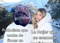 Enlace a El amor es así de caprichoso