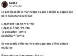 Enlace a Alegato en contra de la maría