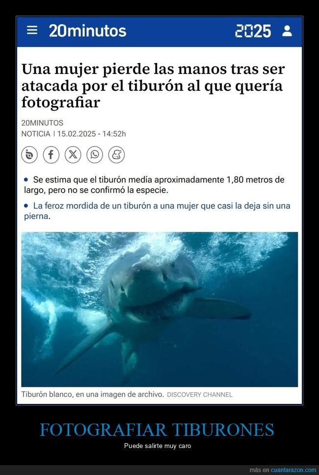 manos,tiburón,fotografiar