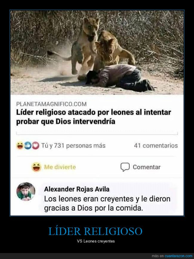 atacado,comentarios,creyentes,dios,leones,líder religioso