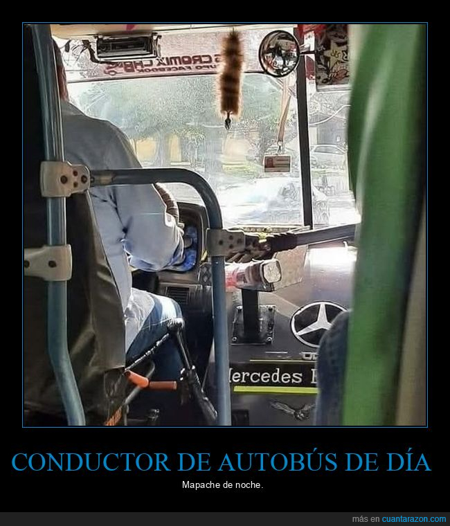 autobús,plug,wtf