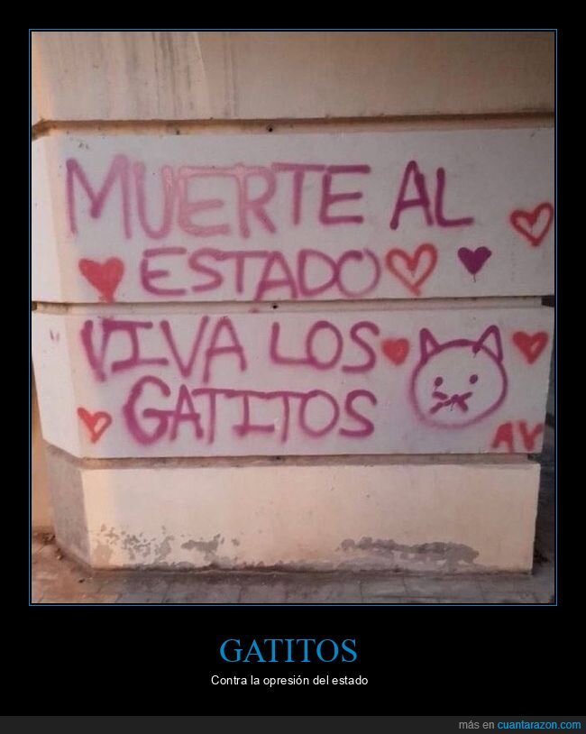 estado,gatitos,graffitis,muerte