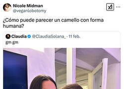 Enlace a El extraño hombre camello