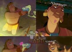 Enlace a Gustos y preferencias