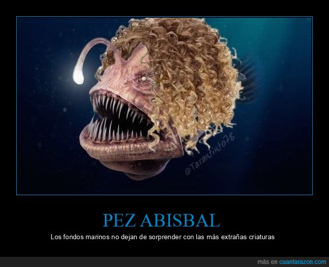 pez abisbal,pez abisal,pez diablo negro,bisbal