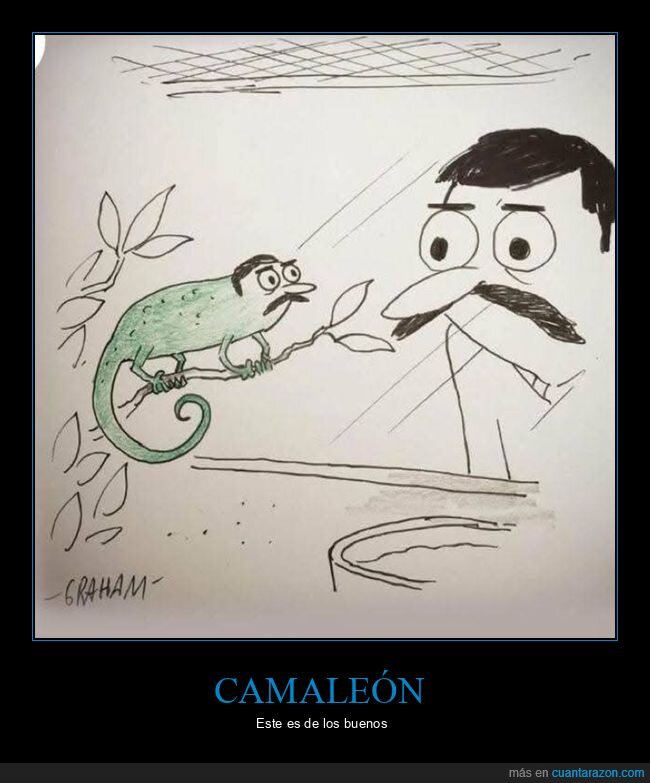 camaleón,imitando