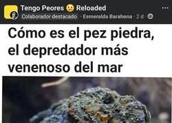 Enlace a El depredador del depredador