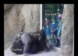 Enlace a La situación geopolítica actual resumida