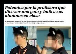 Enlace a La profesora felina