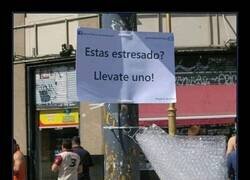 Enlace a Medidas contra el estrés ciudadano