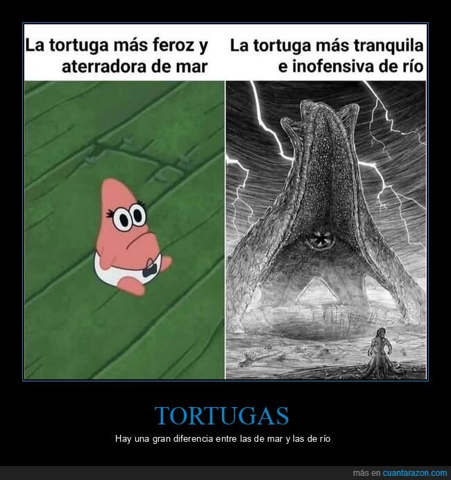 tortugas,mar,río