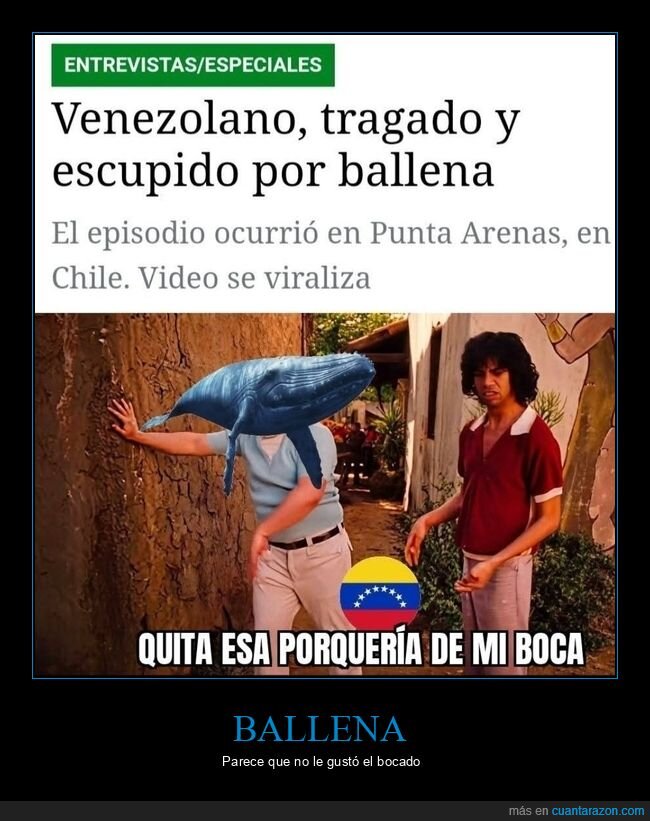 venezolano,tragado,escupido,ballena