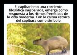 Enlace a Únete al capibarismo